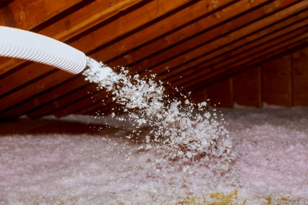 Best Local Insulation Services  in Parma Heights, OH