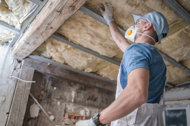 Best Attic Insulation Installation  in Parma Heights, OH