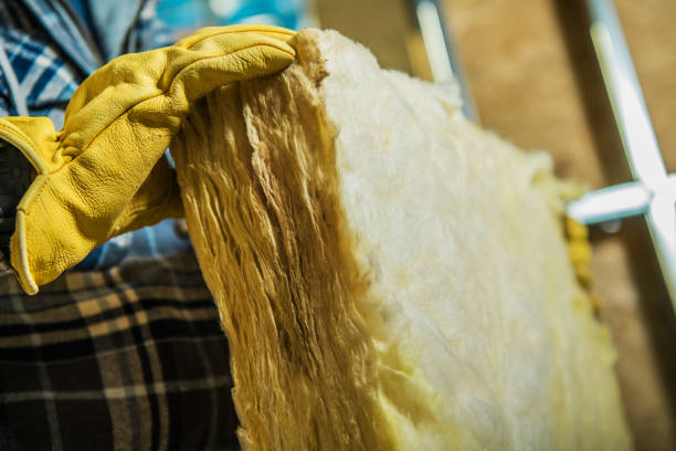 Best Insulation Contractors for Homes  in Parma Heights, OH